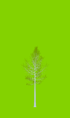 Treee