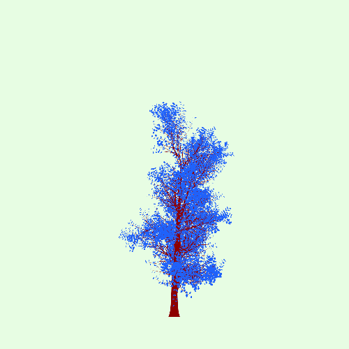 Treee