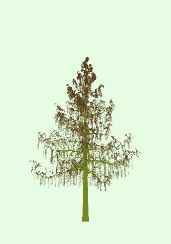 Treee
