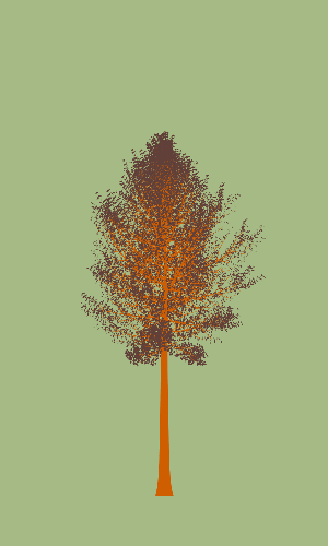 Treee