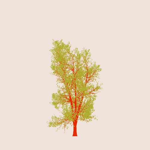 Treee