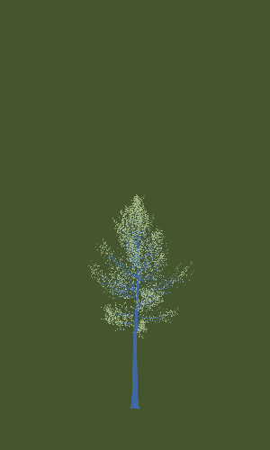 Treee