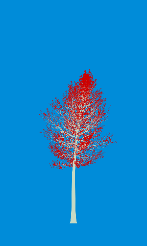 Treee