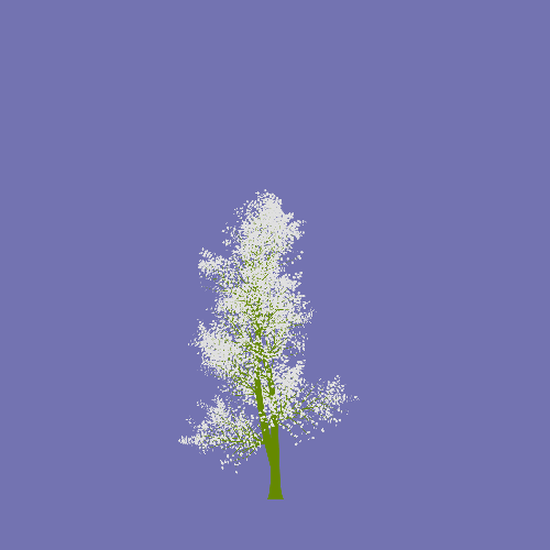 Treee