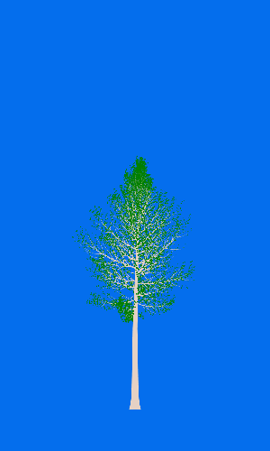 Treee