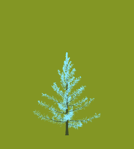 Treee