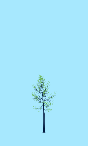 Treee