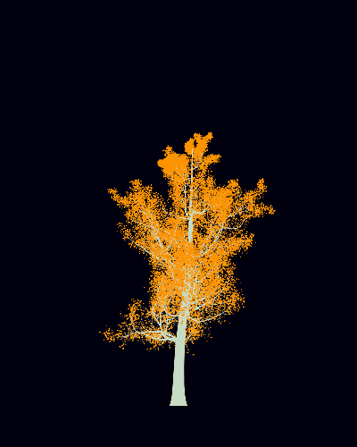 Treee