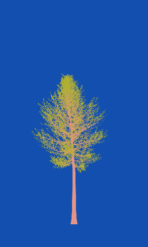 Treee