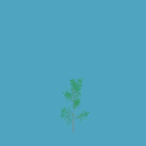 Treee