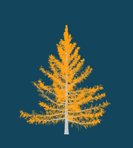 Treee