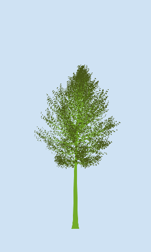 Treee