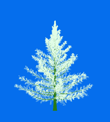 Treee