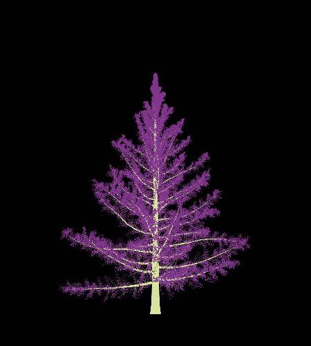 Treee