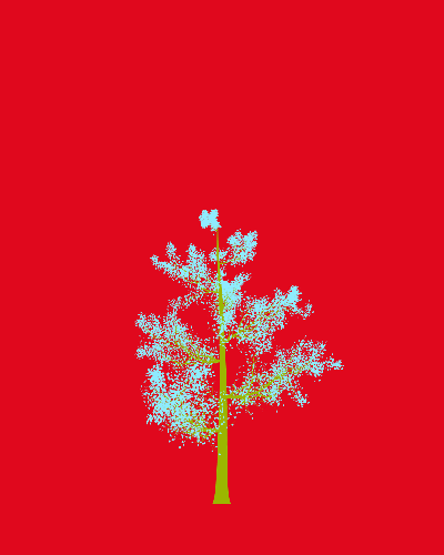 Treee