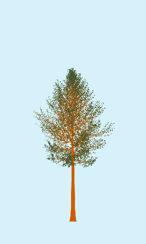 Treee