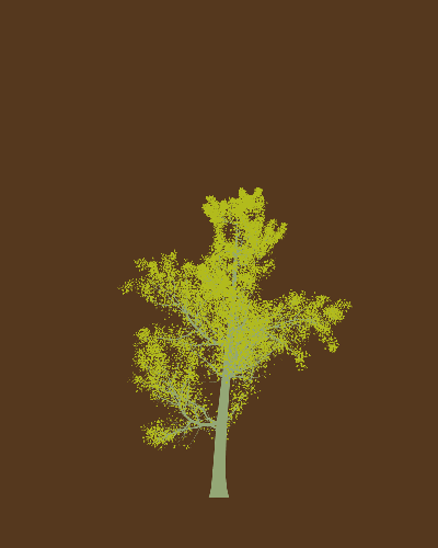 Treee