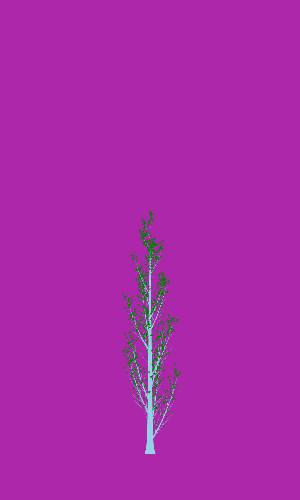 Treee