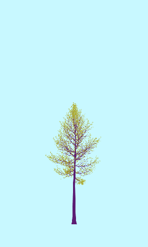 Treee