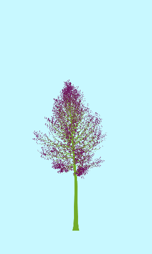 Treee