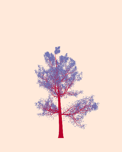 Treee
