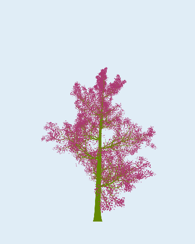 Treee
