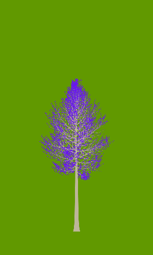 Treee