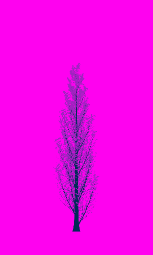 Treee