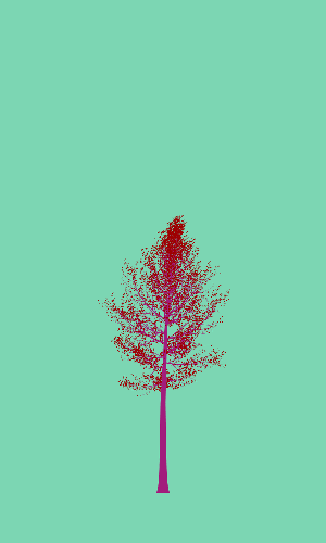 Treee