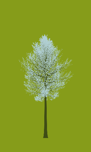 Treee