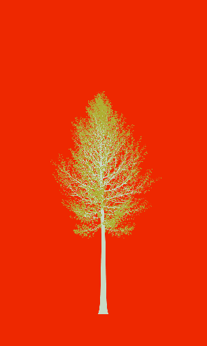 Treee