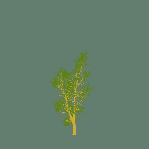 Treee