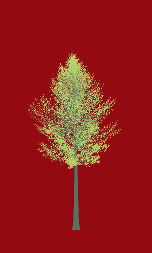 Treee