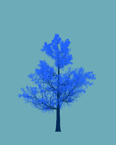 Treee