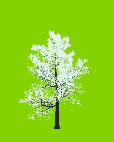 Treee