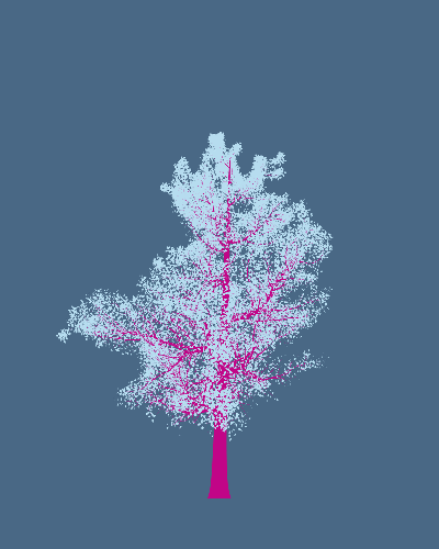 Treee