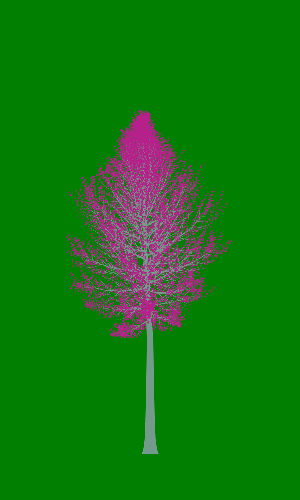 Treee