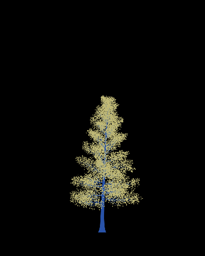 Treee