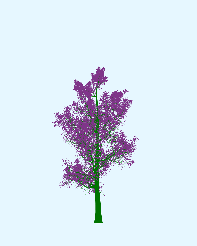 Treee