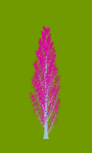 Treee