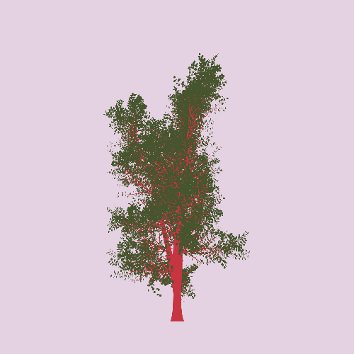Treee