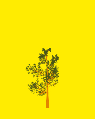 Treee