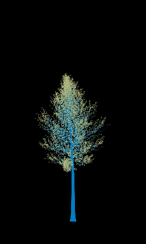Treee