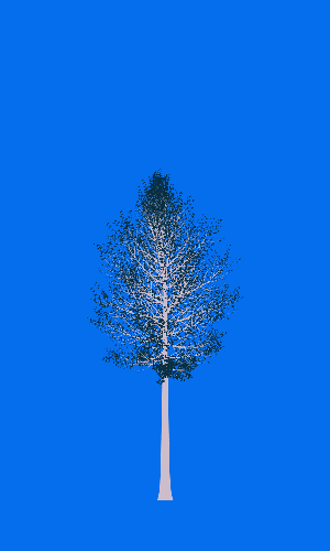 Treee