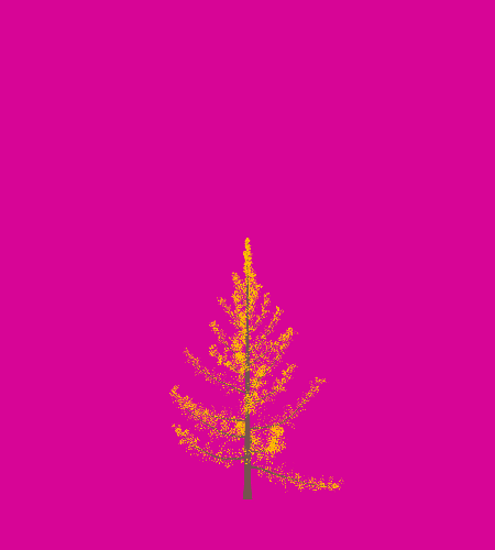 Treee