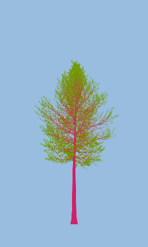 Treee