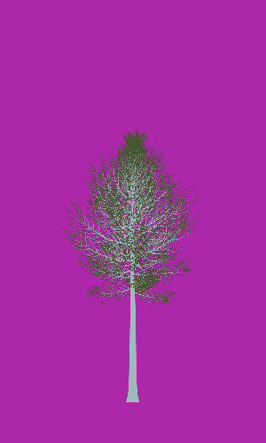 Treee
