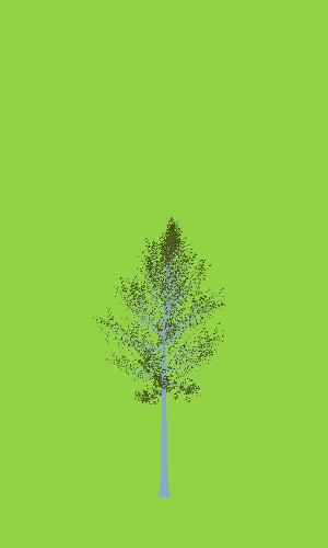 Treee