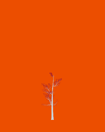 Treee