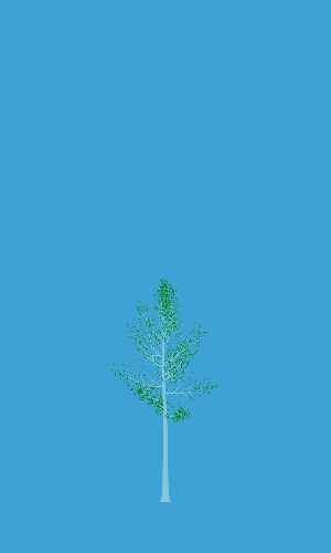 Treee